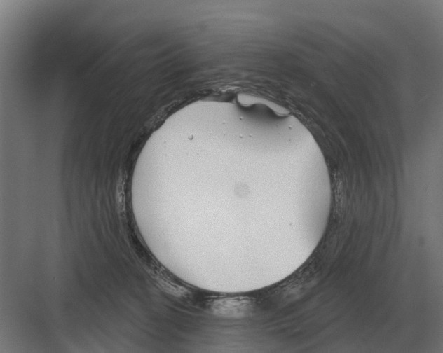 X0000082160274200702162242