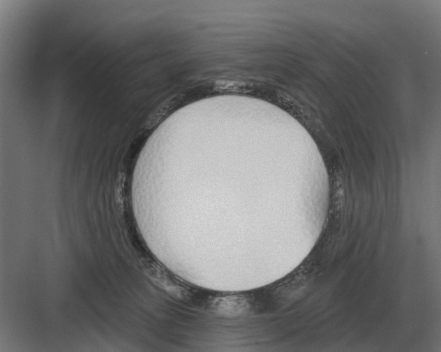 X0000082160275200702162242