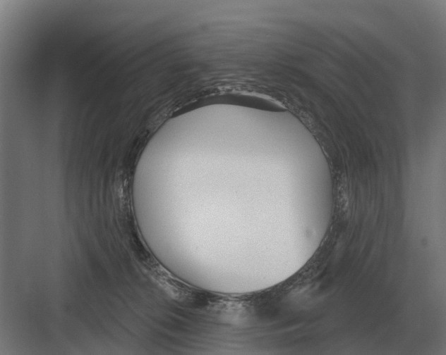 X0000082160276200702162242