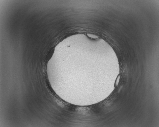 X0000082160277200702162242