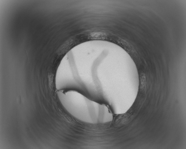 X0000082160278200702162242