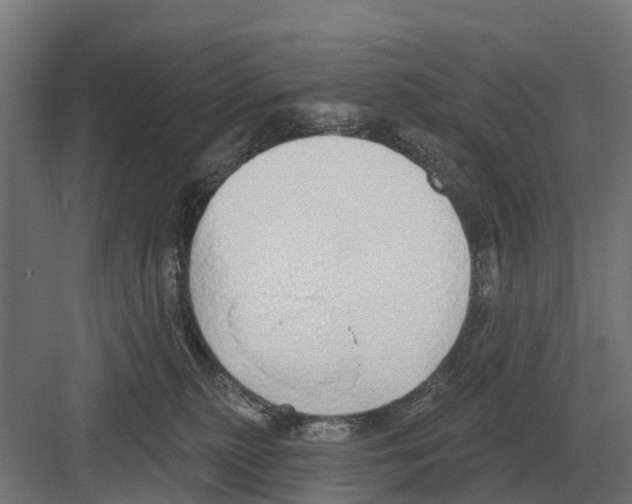 X0000082160279200702162242