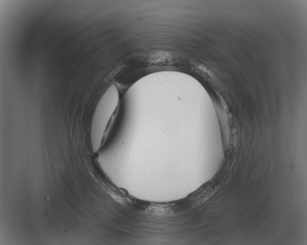 X0000082160280200702162242