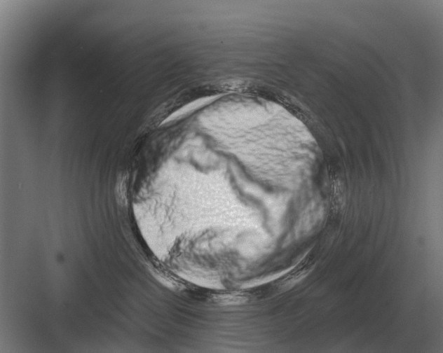 X0000082160286200702162242