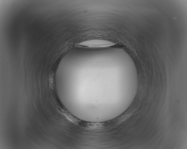 X0000082160288200702162242