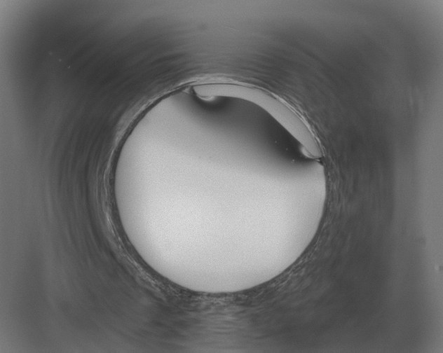 X0000082160289200702162241