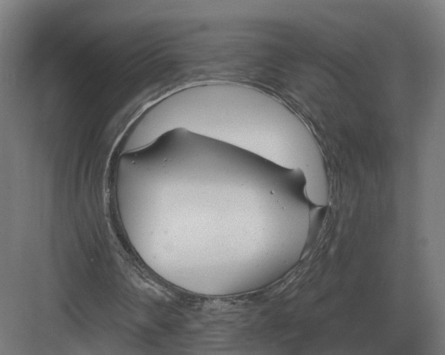 X0000082160290200702162241