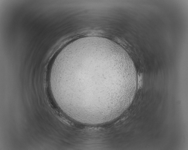 X0000082160291200702162241