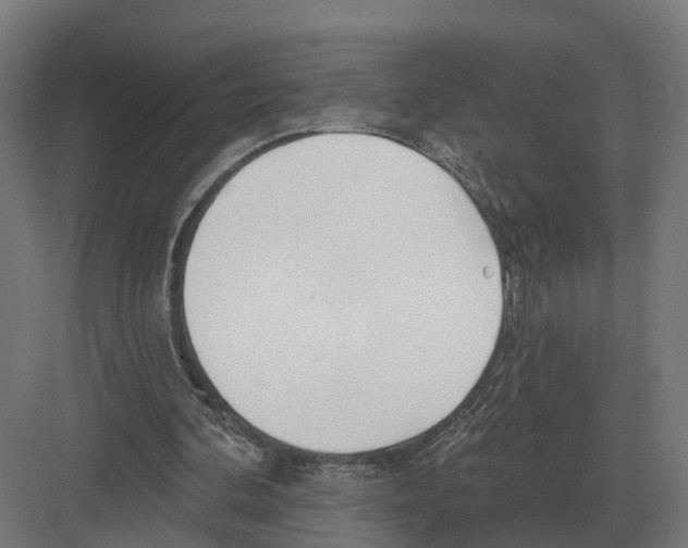 X0000082160292200702162241