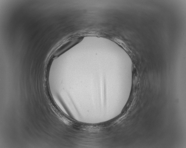 X0000082160293200702162241