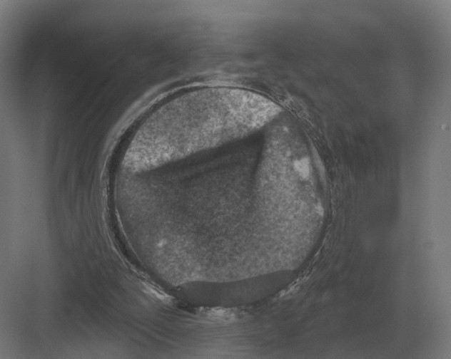 X0000082160295200702162241