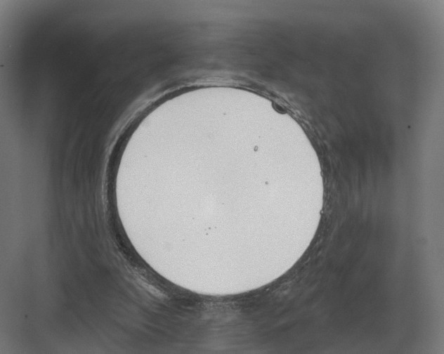 X0000082160296200702162241