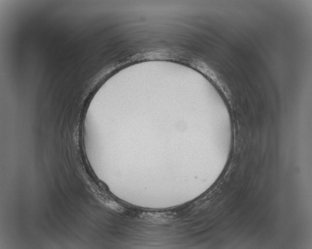 X0000082160297200702162241