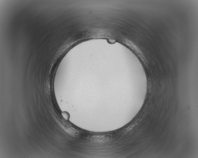 X0000082160298200702162241