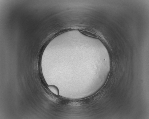 X0000082160299200702162241