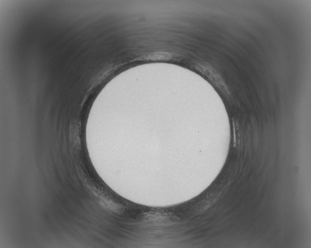 X0000082160300200702162241