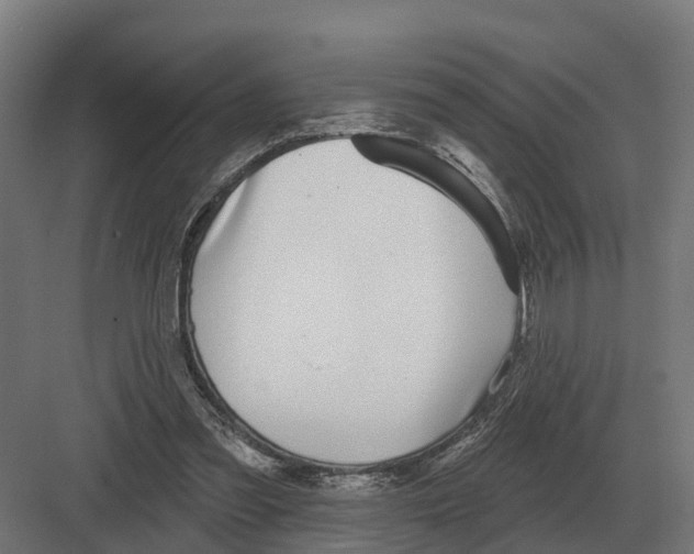 X0000082160301200702162241