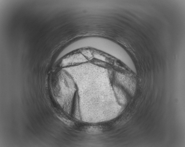 X0000082160303200702162241