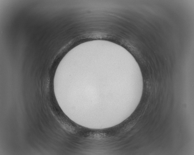 X0000082160304200702162241