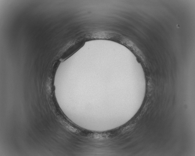 X0000082160305200702162241