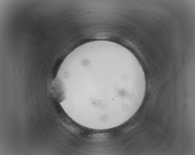 X0000082160307200702162241