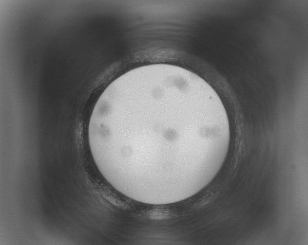 X0000082160308200702162241