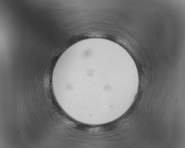 X0000082160309200702162241