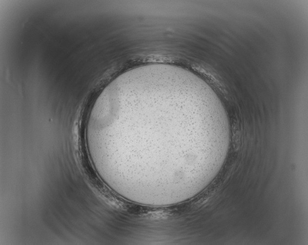 X0000082160310200702162241