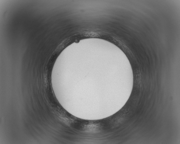 X0000082160312200702162241