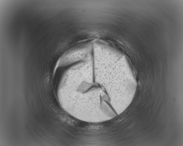 X0000082160314200702162241