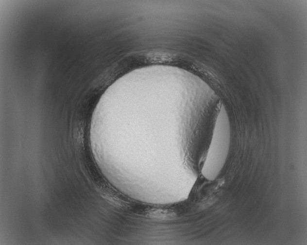 X0000082160315200702162241