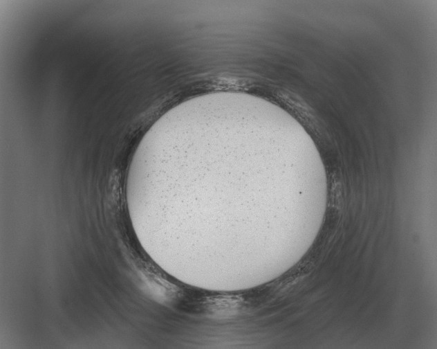 X0000082160318200702162241