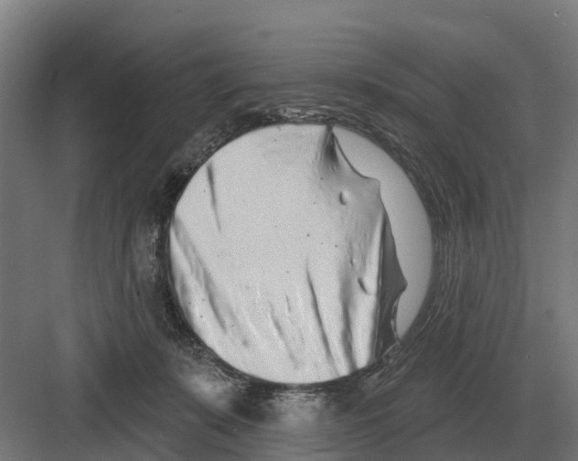 X0000082160319200702162241