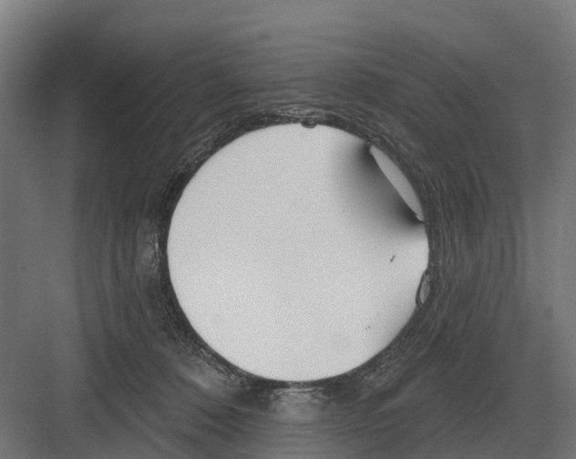 X0000082160320200702162241