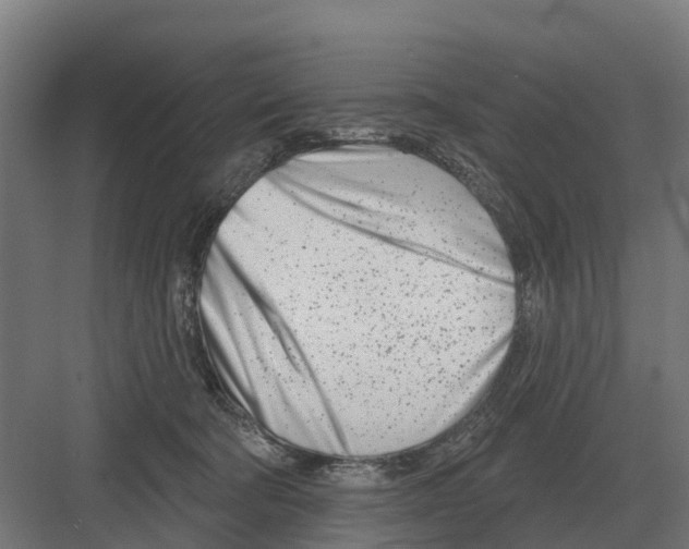 X0000082160322200702162241