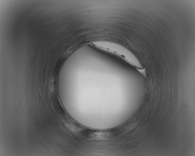 X0000082160323200702162241