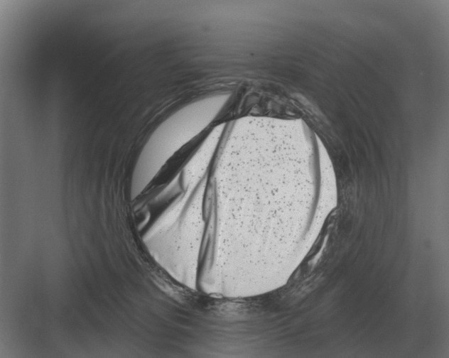 X0000082160325200702162241