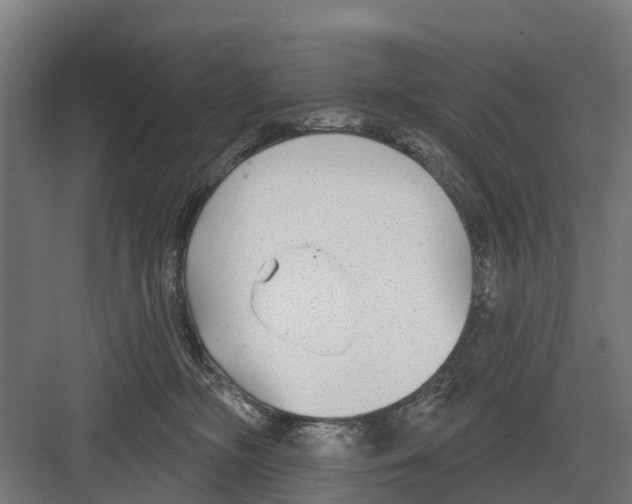 X0000082160326200702162241