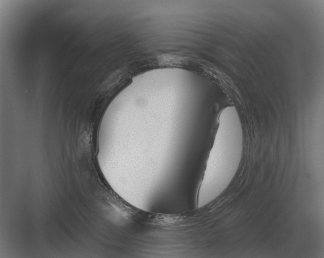 X0000082160329200702162241