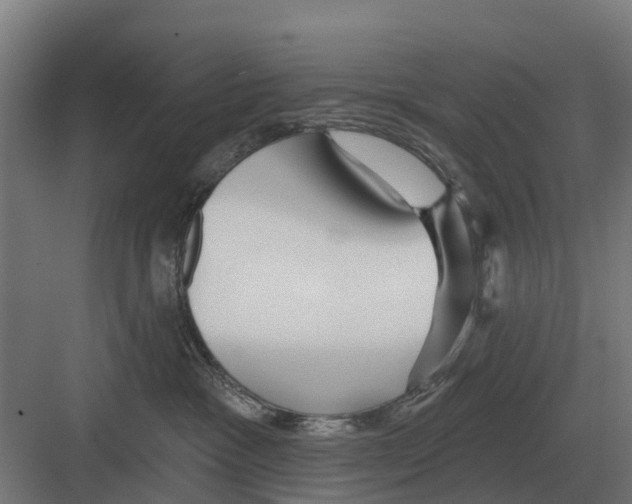 X0000082160333200702162241