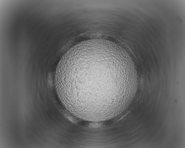 X0000082160335200702162241