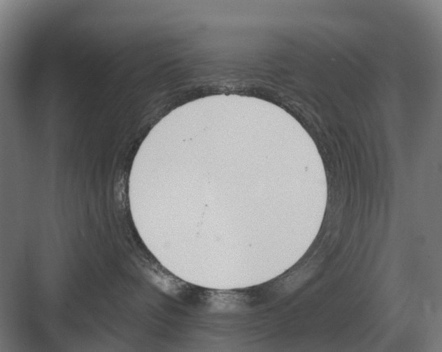 X0000082160336200702162241