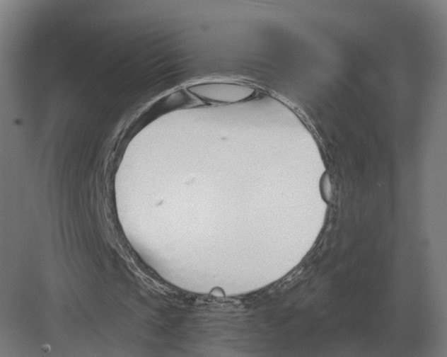 X0000082160337200702162240