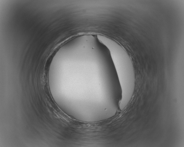 X0000082160338200702162240