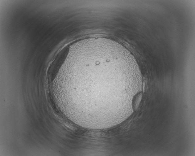 X0000082160339200702162240