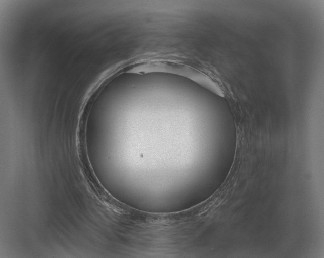 X0000082160340200702162240