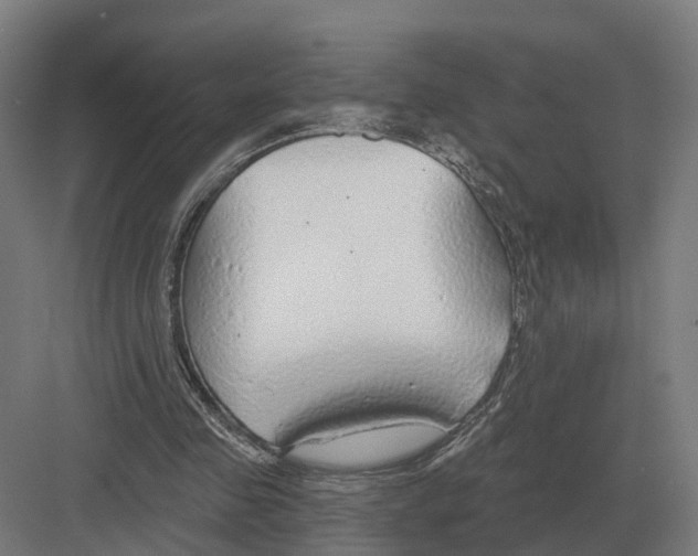 X0000082160341200702162240