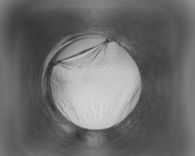 X0000082160343200702162240