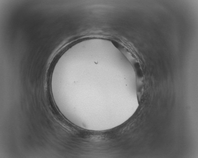 X0000082160344200702162240