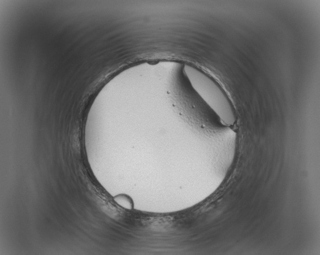 X0000082160345200702162240